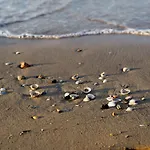 Homely Seaview Flat With Balcony - Beahost Bibione