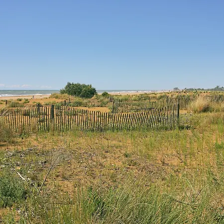 Homely Seaview Flat With Balcony - Beahost