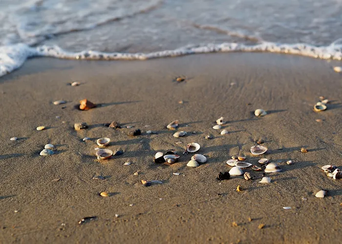 Homely Seaview Flat With Balcony - Beahost 비비오네